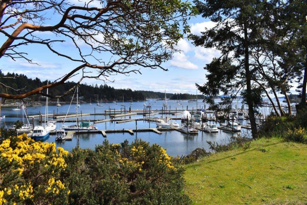 Ganges Marina & Fuel Dock