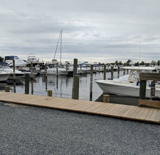 Marina Image