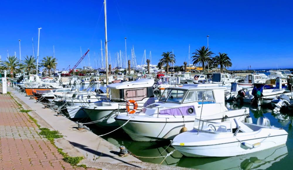 Marina Image