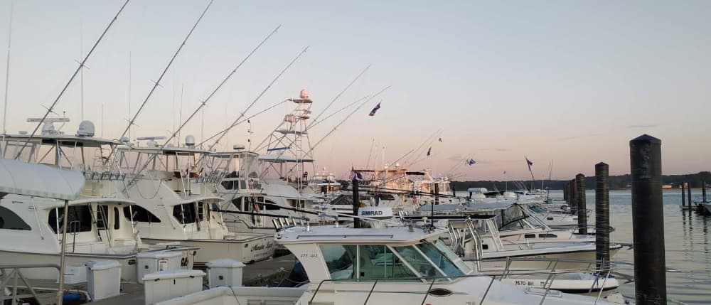 Marina Image